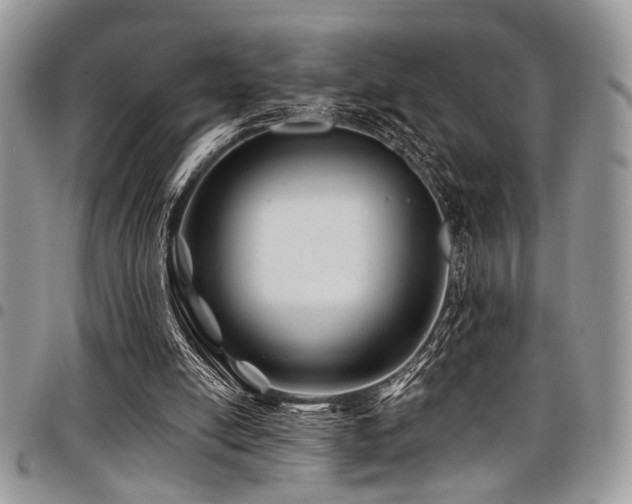 X0000098030054200803281418