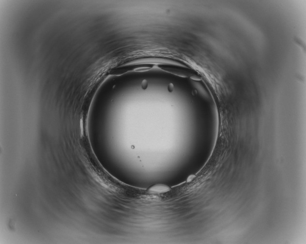 X0000098030061200803281418