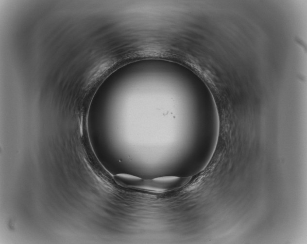 X0000098030062200803281418