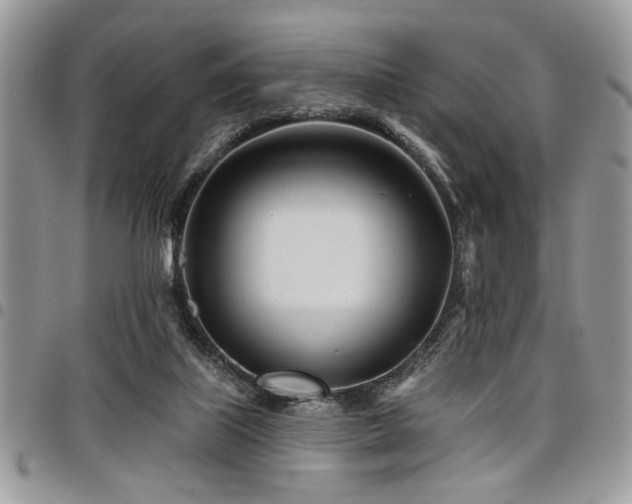 X0000098030067200803281418