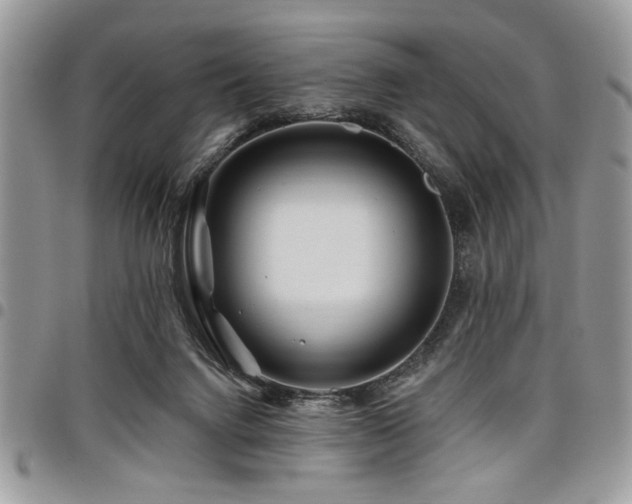 X0000098030072200803281418