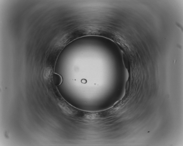 X0000098030079200803281418