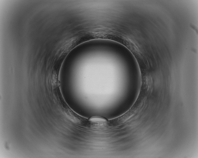 X0000098030081200803281418