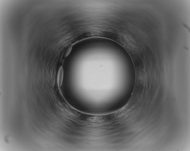 X0000098030082200803281418