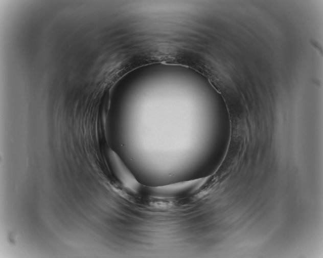 X0000098030084200803281418