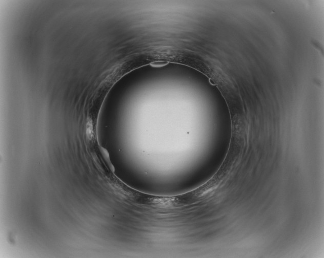 X0000098030089200803281419