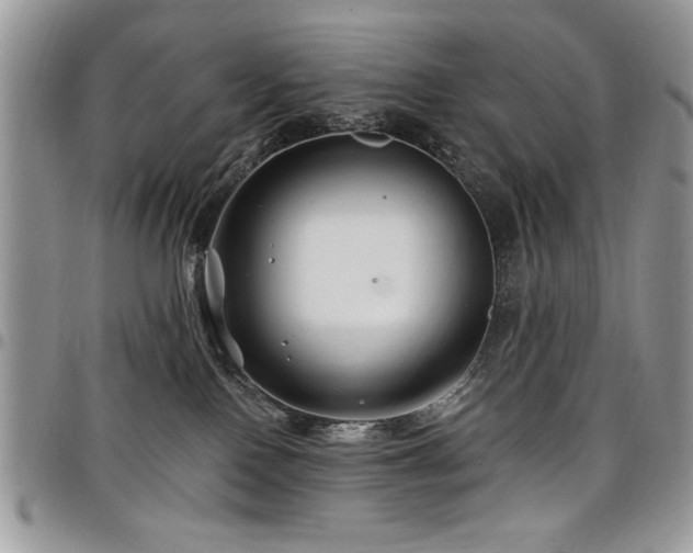 X0000098030090200803281419