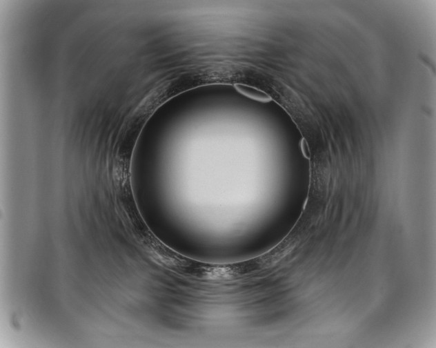 X0000098030091200803281419