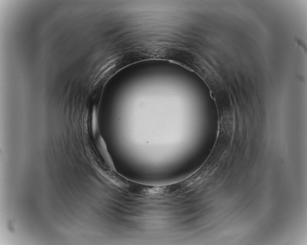 X0000098030092200803281419