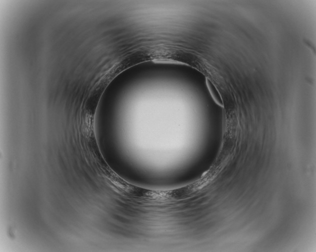 X0000098030093200803281419