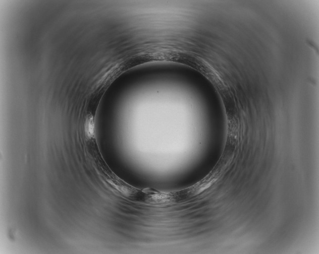 X0000098030095200803281419