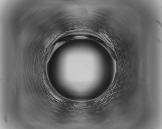 X0000098030097200803281418