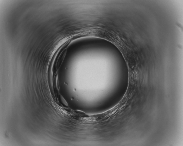 X0000098030100200803281418