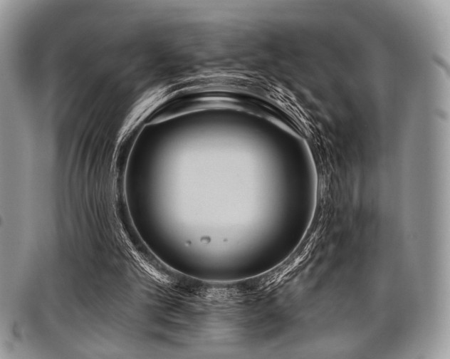 X0000098030101200803281418