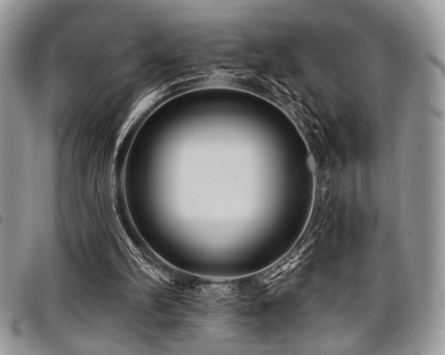 X0000098030102200803281418