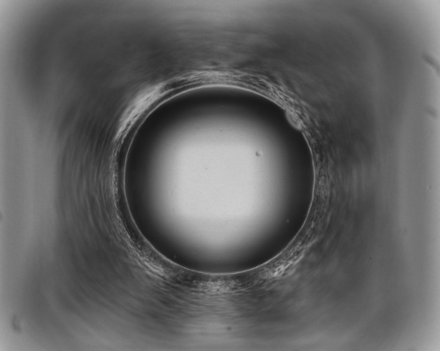 X0000098030103200803281418