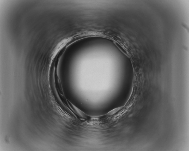 X0000098030104200803281418