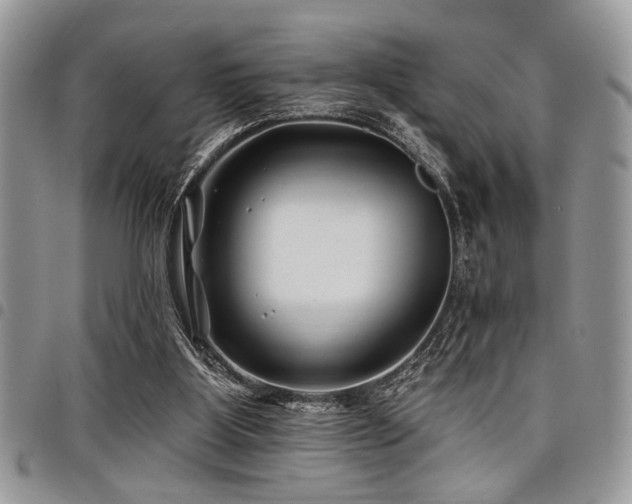 X0000098030107200803281418