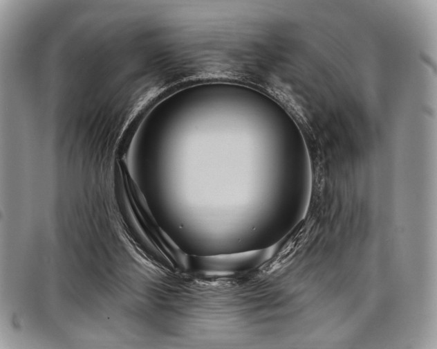 X0000098030108200803281418