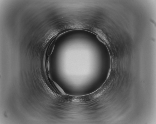 X0000098030109200803281418