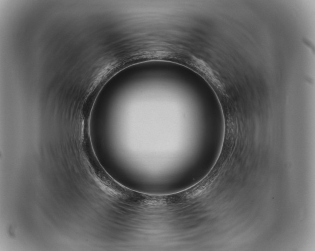 X0000098030110200803281418