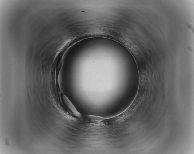 X0000098030112200803281418