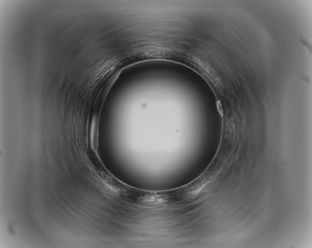 X0000098030117200803281418