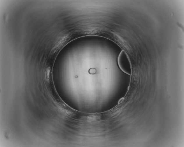 X0000098030118200803281418