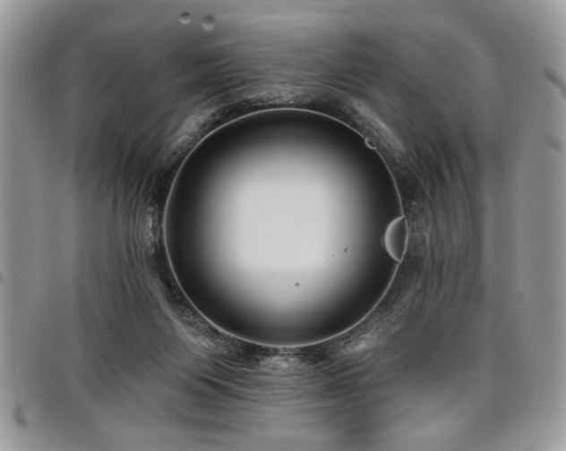 X0000098030119200803281418