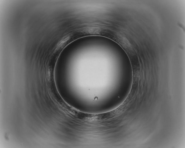 X0000098030120200803281418