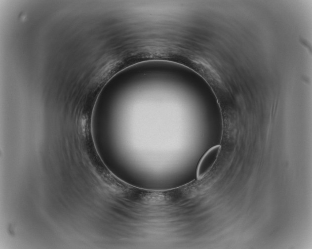 X0000098030123200803281418