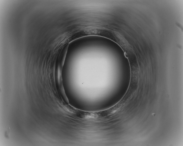 X0000098030125200803281418