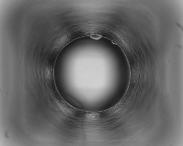 X0000098030126200803281418