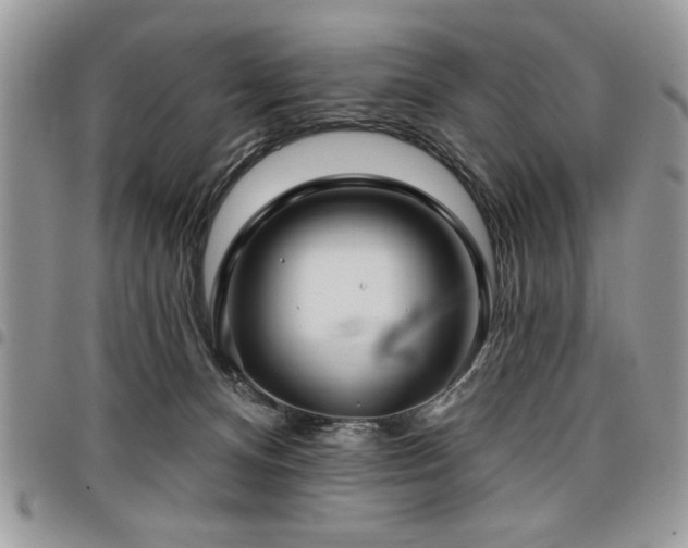 X0000098030128200803281418