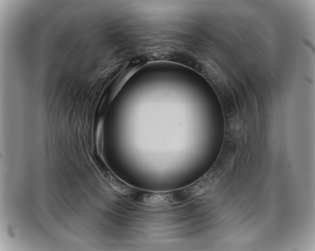 X0000098030129200803281418