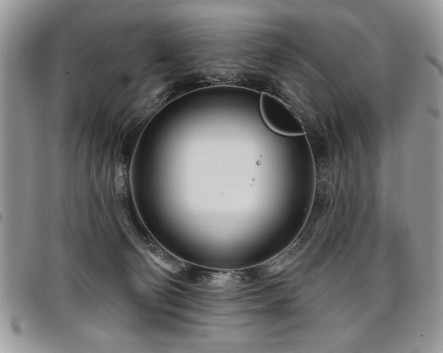 X0000098030130200803281418