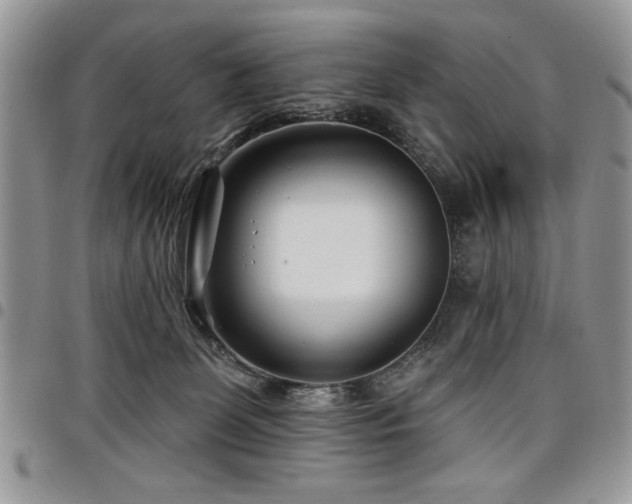 X0000098030131200803281417