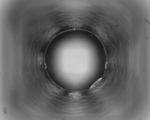 X0000098030133200803281417