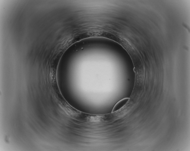 X0000098030134200803281417