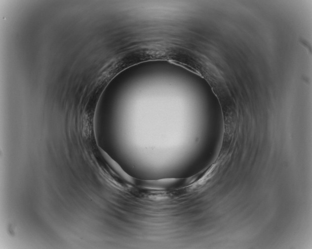 X0000098030136200803281417