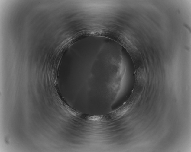 X0000098030139200803281417