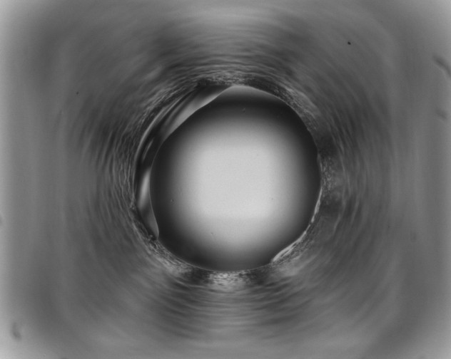 X0000098030141200803281417