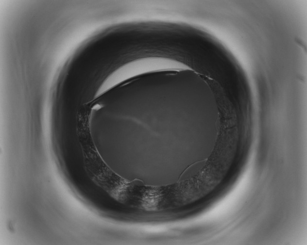 X0000098030143200803281417