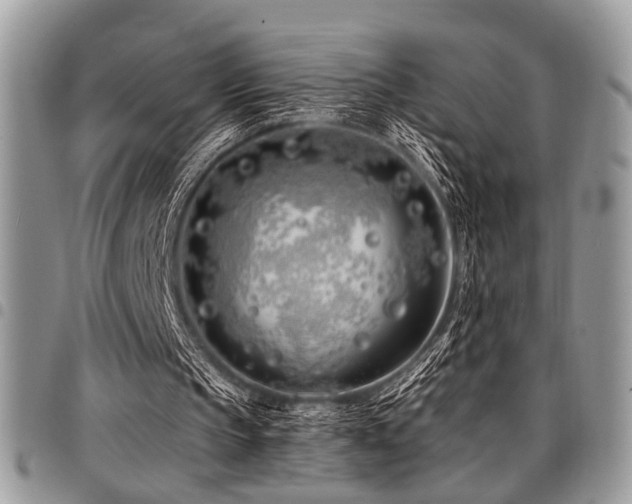 X0000098030145200803281416