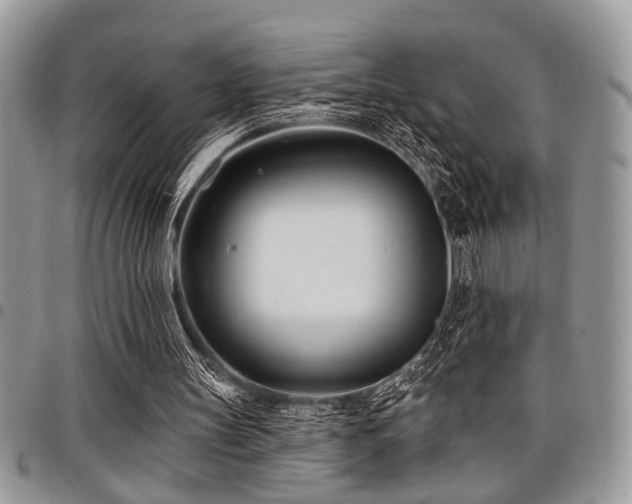 X0000098030147200803281417