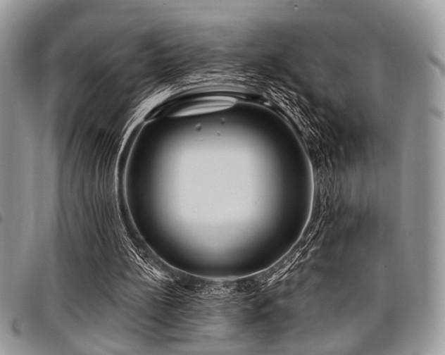 X0000098030148200803281417