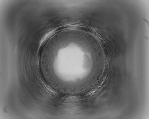 X0000098030149200803281417