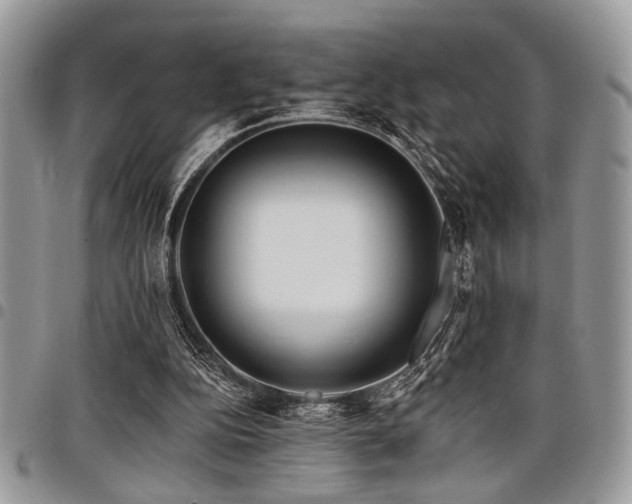 X0000098030152200803281417