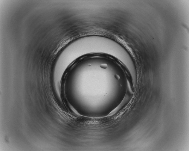 X0000098030154200803281417