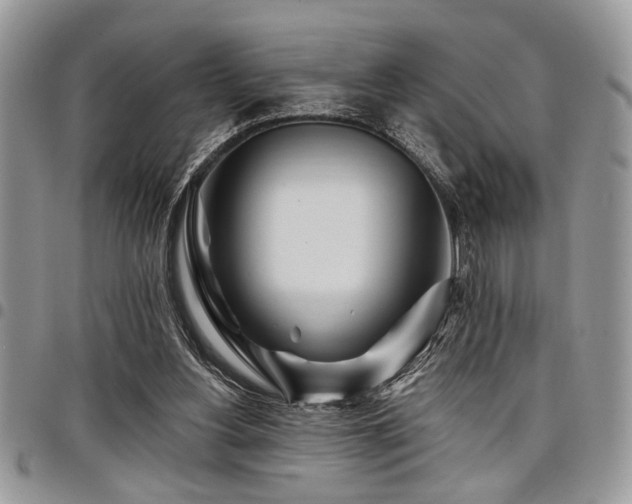 X0000098030156200803281417